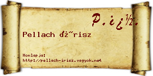 Pellach Írisz névjegykártya